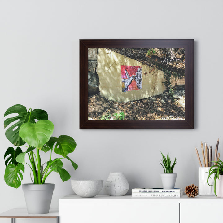 "Hummingbird #1 Mullholland Drive, LA " - Framed Print