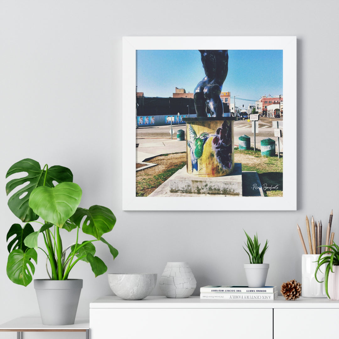 "Hummingbird #2 Venice Beach, CA" - Framed Print