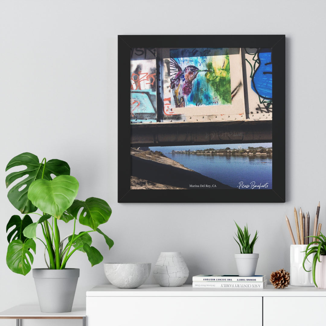 "Hummingbird #3 Marina Del Rey, CA" - Framed Print