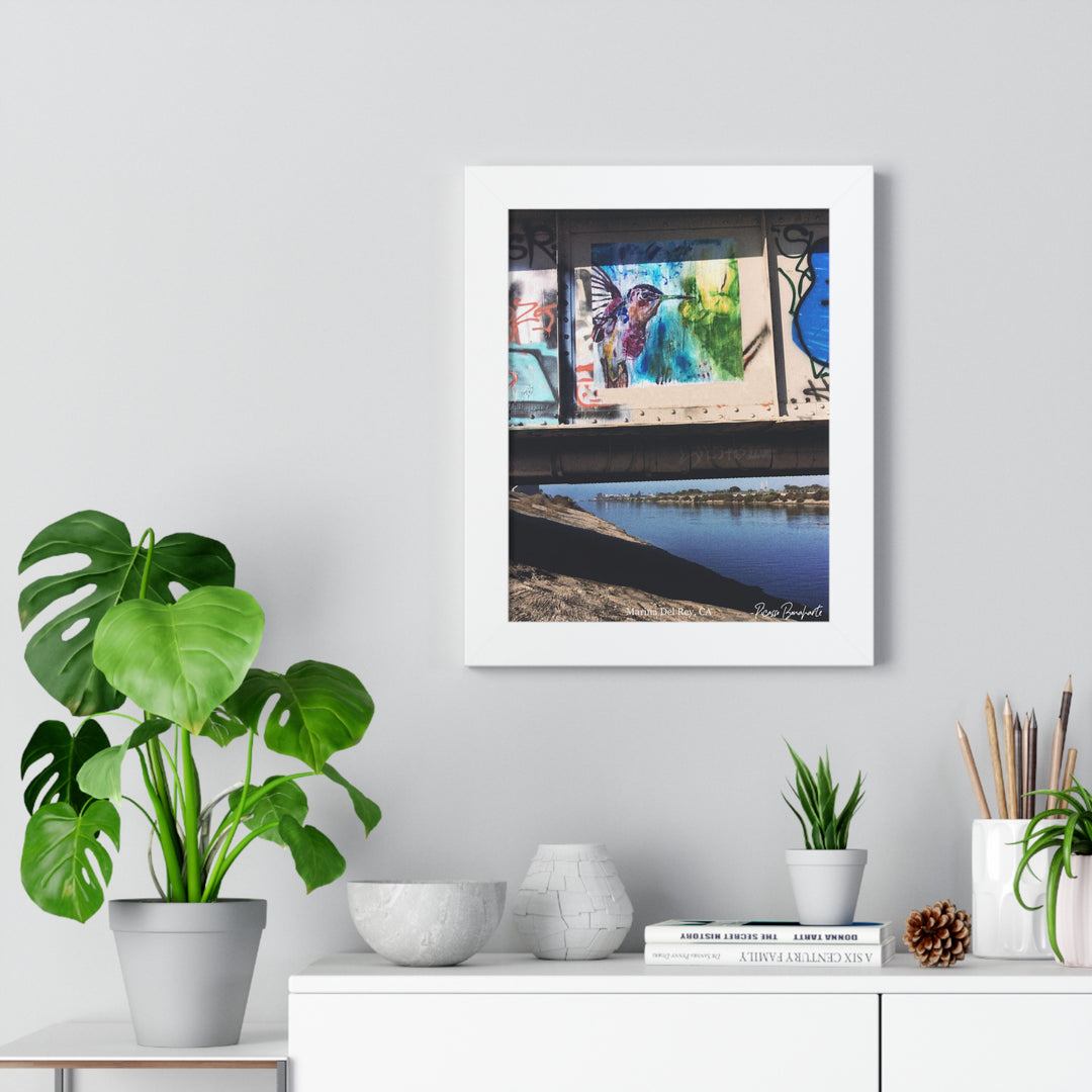 "Hummingbird #3 Marina Del Rey, CA" - Framed Print