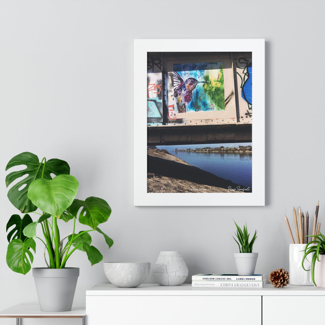 "Hummingbird #3 Marina Del Rey, CA" - Framed Print