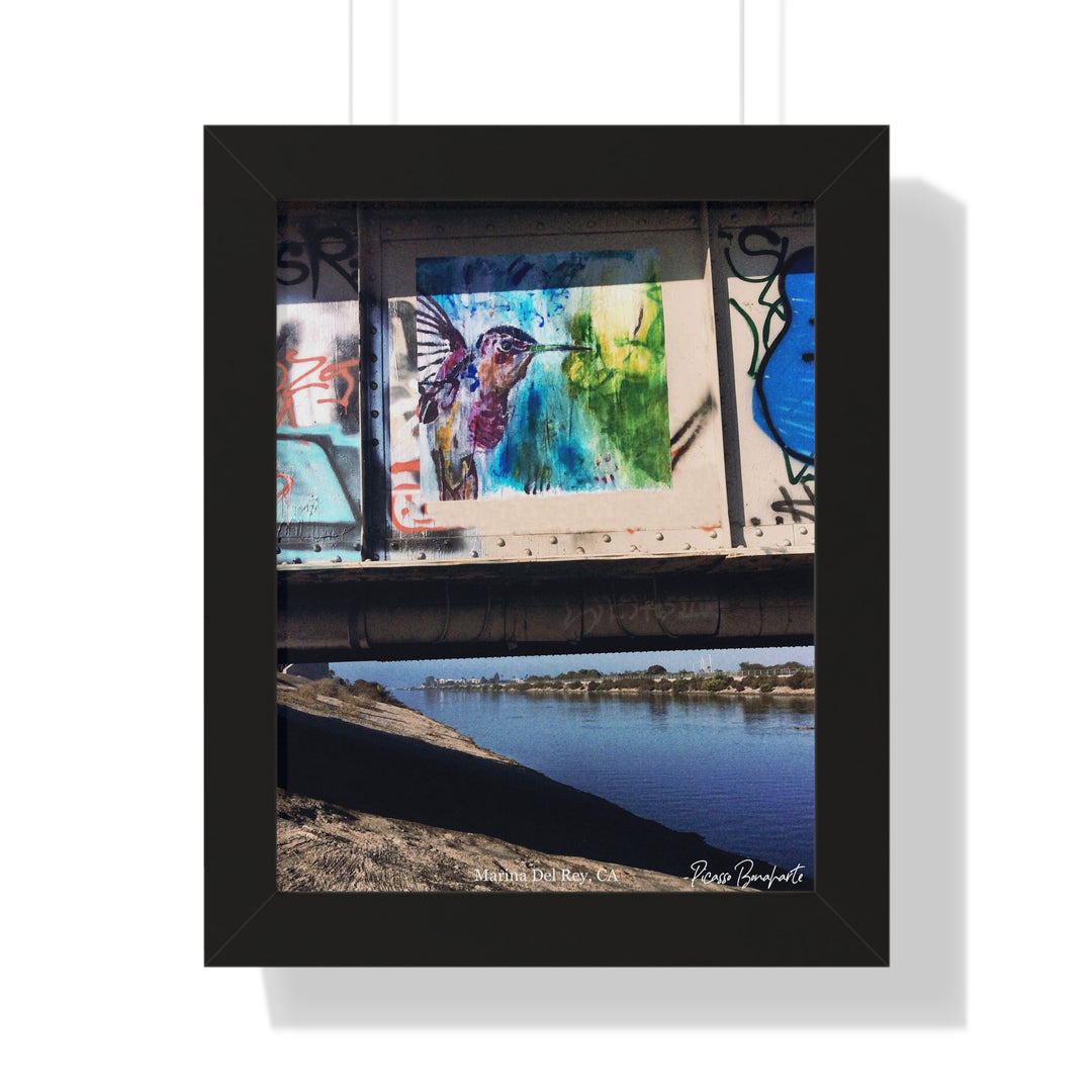 "Hummingbird #3 Marina Del Rey, CA" - Framed Print