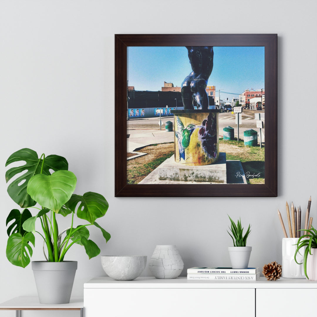 "Hummingbird #2 Venice Beach, CA" - Framed Print