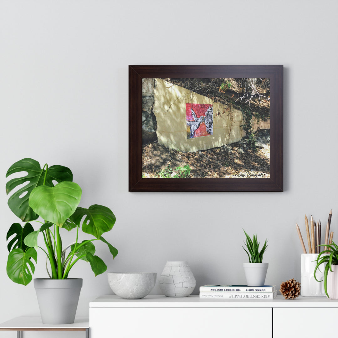 "Hummingbird #1 Mullholland Drive, LA " - Framed Print