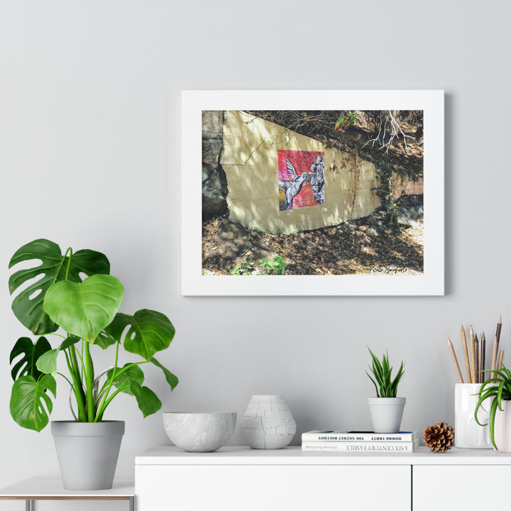 "Hummingbird #1 Mullholland Drive, LA " - Framed Print