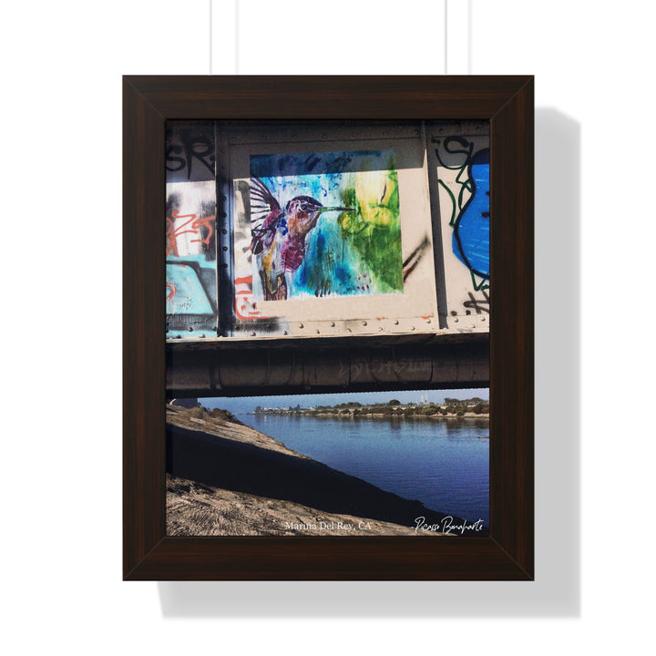 "Hummingbird #3 Marina Del Rey, CA" - Framed Print