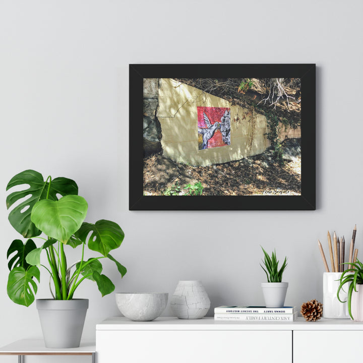 "Hummingbird #1 Mullholland Drive, LA " - Framed Print