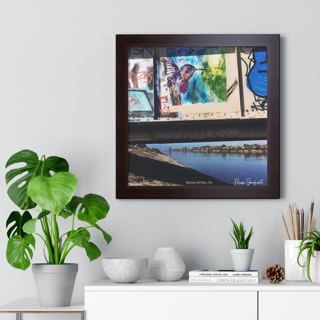 "Hummingbird #3 Marina Del Rey, CA" - Framed Print