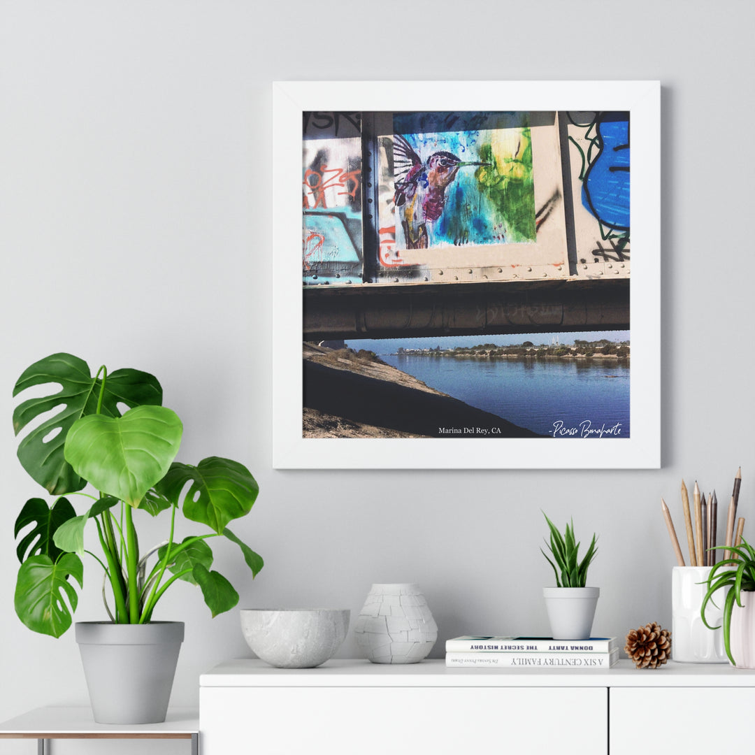 "Hummingbird #3 Marina Del Rey, CA" - Framed Print