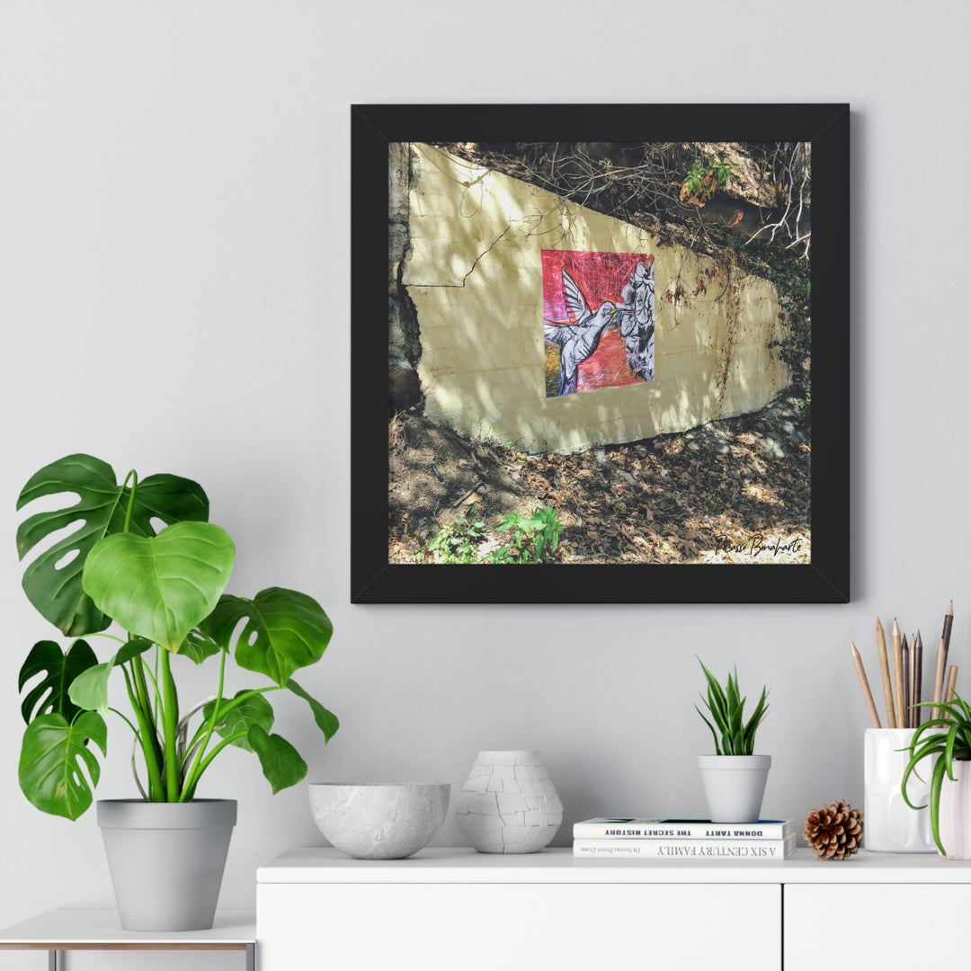 "Hummingbird #1 Mullholland Drive, LA " - Framed Print