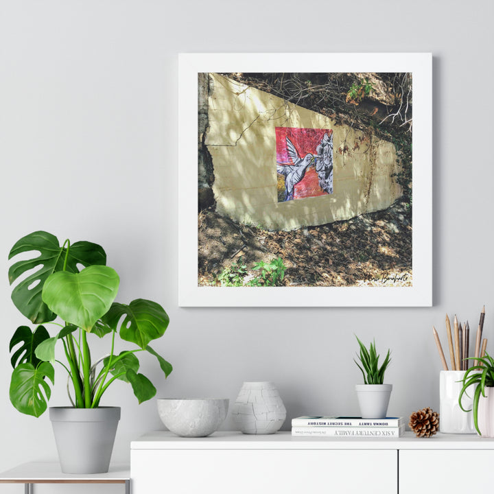 "Hummingbird #1 Mullholland Drive, LA " - Framed Print