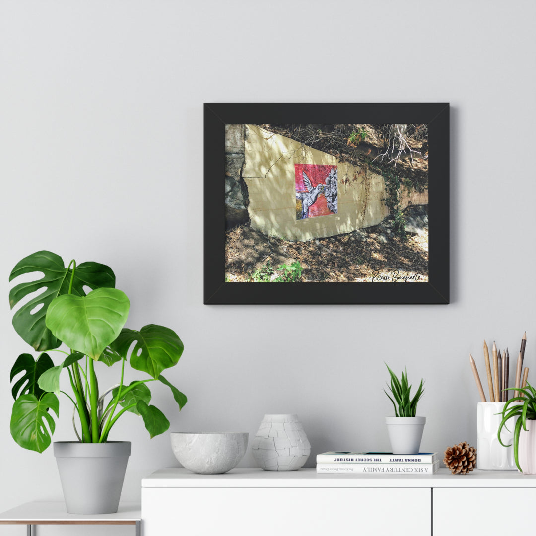 "Hummingbird #1 Mullholland Drive, LA " - Framed Print