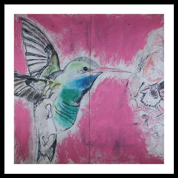 "Hummingbird #4" - Framed Print (Matted MFG by Pixels)