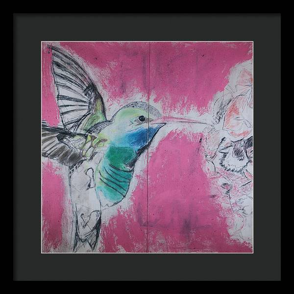 "Hummingbird #4" - Framed Print (Matted MFG by Pixels)