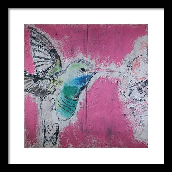 "Hummingbird #4" - Framed Print (Matted MFG by Pixels)