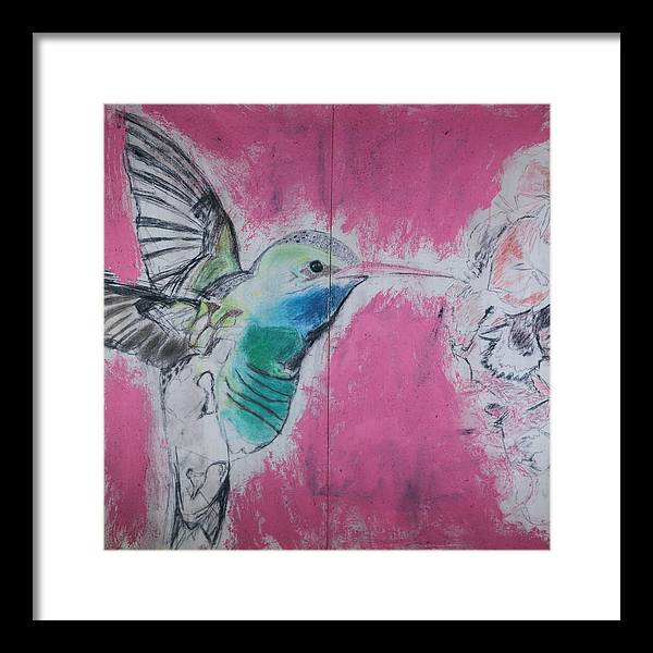 "Hummingbird #4" - Framed Print (Matted MFG by Pixels)