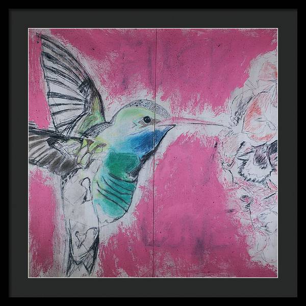 "Hummingbird #4" - Framed Print (Matted MFG by Pixels)