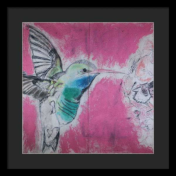 "Hummingbird #4" - Framed Print (Matted MFG by Pixels)