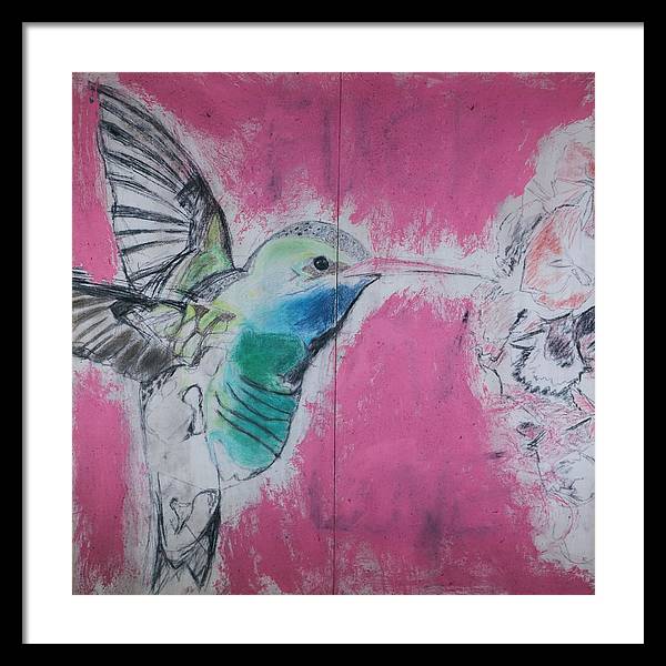 "Hummingbird #4" - Framed Print (Matted MFG by Pixels)