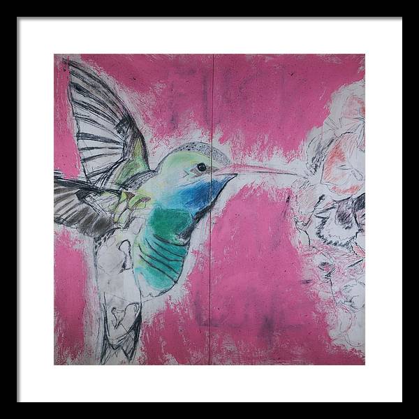 "Hummingbird #4" - Framed Print (Matted MFG by Pixels)