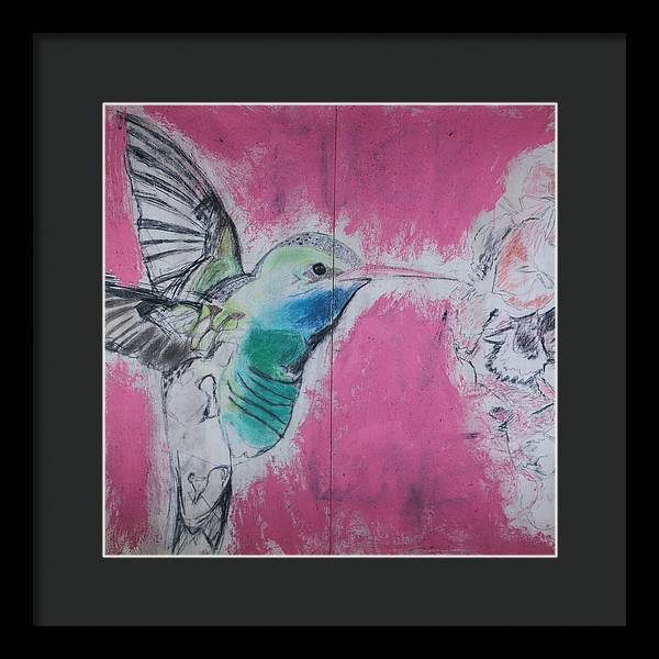 "Hummingbird #4" - Framed Print (Matted MFG by Pixels)