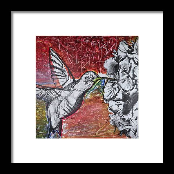 "Hummingbird #1" - Framed Print (Matted)