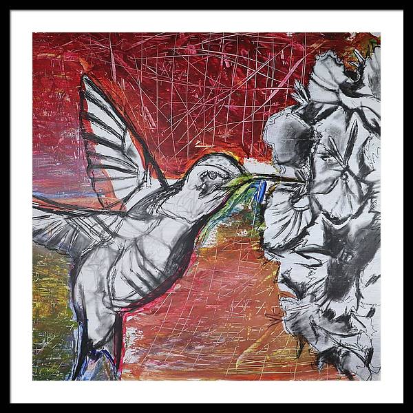 "Hummingbird #1" - Framed Print (Matted)