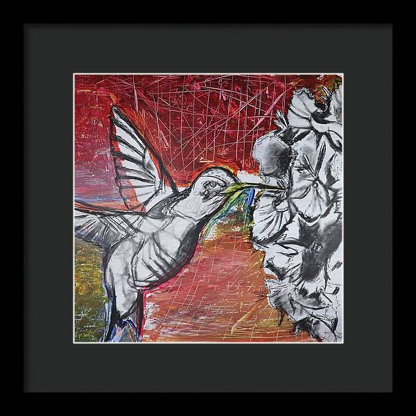 "Hummingbird #1" - Framed Print (Matted)