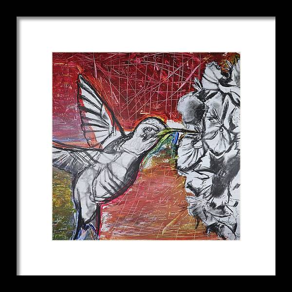 "Hummingbird #1" - Framed Print (Matted)