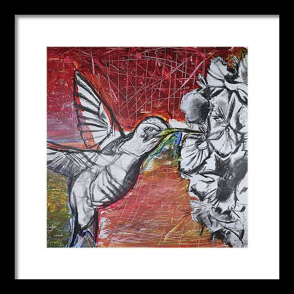 "Hummingbird #1" - Framed Print (Matted)