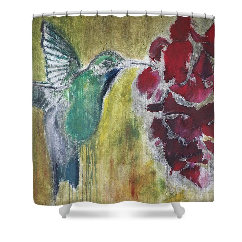 Hummingbird 2 - Shower Curtain